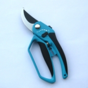 Pruning Shears